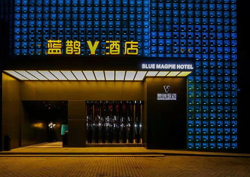 藍鵲酒店專項調(diào)研 協(xié)會精準(zhǔn)定制發(fā)展良策